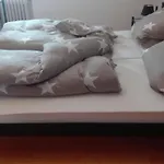 Erholung Pur- Nordsee-urlaub Mit Hund By Interhome *